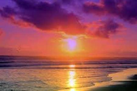 The Monterey Beach Resort St. Pete Beach Εξωτερικό φωτογραφία