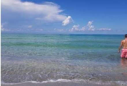 The Monterey Beach Resort St. Pete Beach Εξωτερικό φωτογραφία