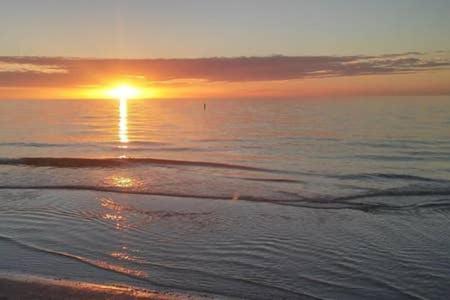 The Monterey Beach Resort St. Pete Beach Εξωτερικό φωτογραφία